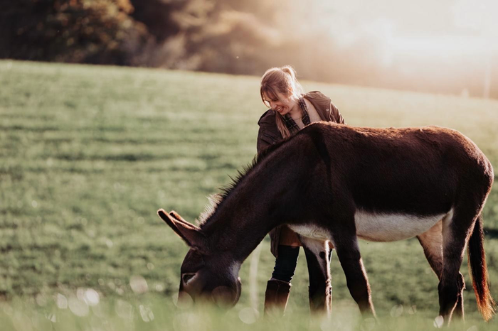 Daniela Meile Fricker Wislikofen Wittnau Praxis Tierkraft Tierkraft Schweiz Tierkommunikation