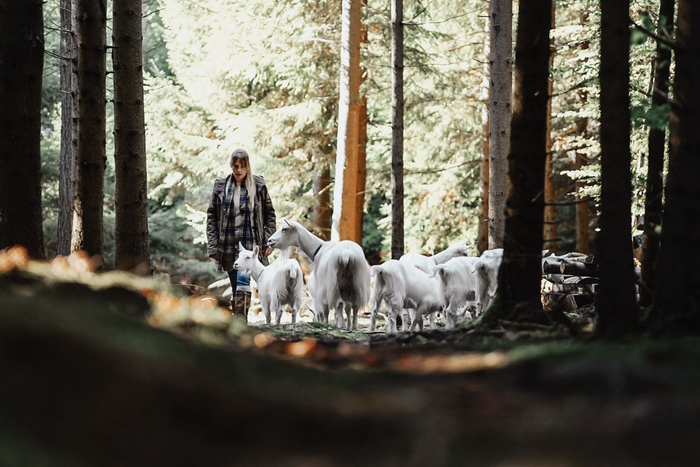 Praxis Tierkraft Daniela Meile Tierkraft Schweiz Tierkommunikation tiergestützte Aktivitäten Goldenbühlstrasse 99 Wislikofen Wittnau