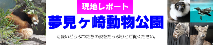 夢見ヶ崎動物公園　現地レポート　口コミ