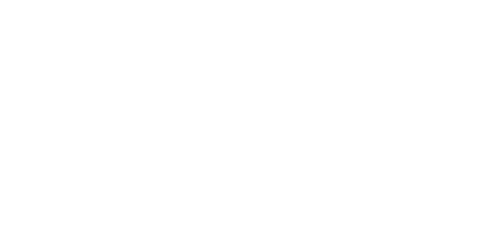オンライン展