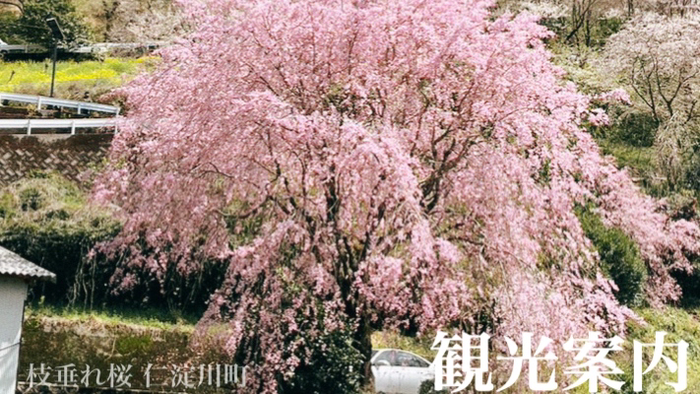 観光案内