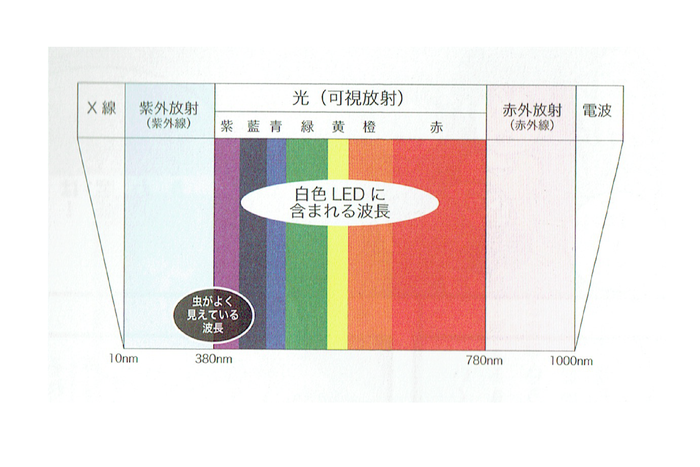 光の波長、ナノメーター、光の単位、X線、紫外放射、可視放射、赤外線、電波