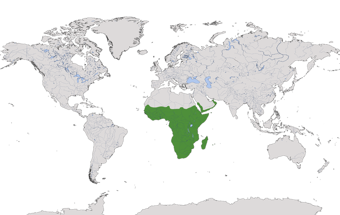 Karte zur geografischen Ausdehnung der Afrotropis.