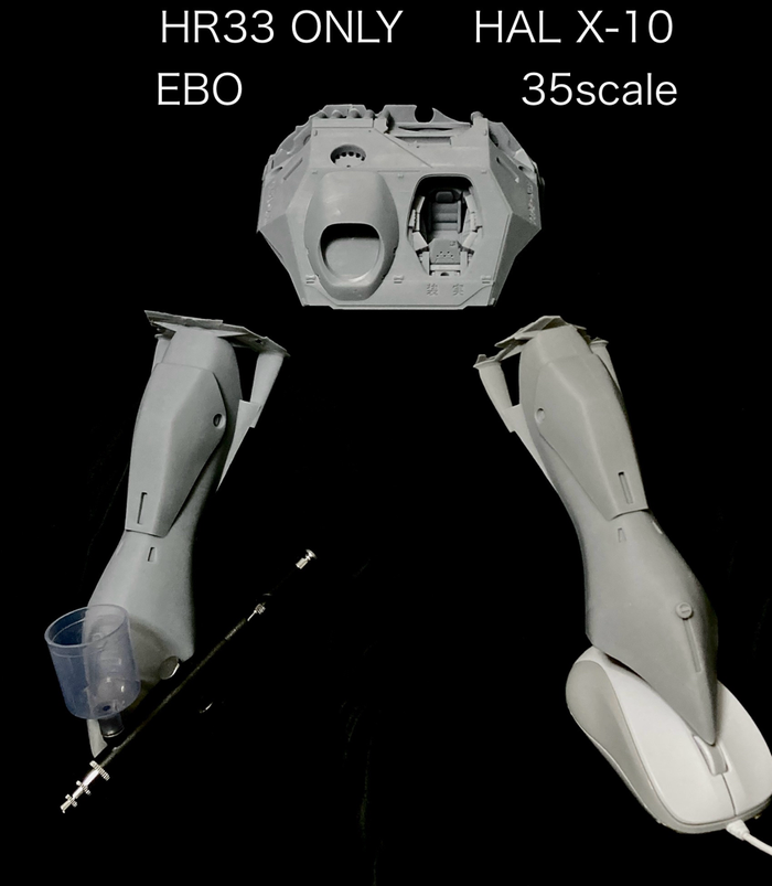 HAL-X10 は 箱size100だからリュックバック一つくらいのデカさのお土産キットになったよ~♬