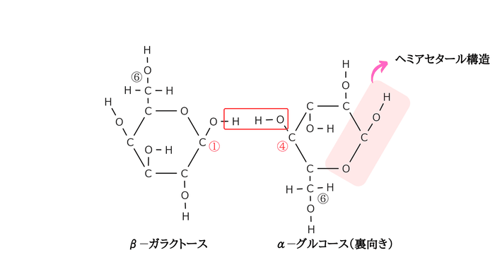 ラクトースの覚え方と構造式