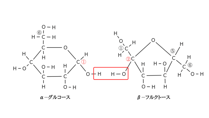 スクロースの覚え方と構造式