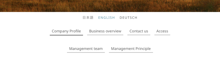 Zurich見本：多言語サイト（英語）