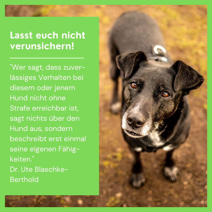 #positiveverstärkung #positivereinforcement #hundeschule #positiveshundetraining #markertraining #clickertraining