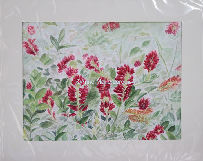 Fleur de Madeira