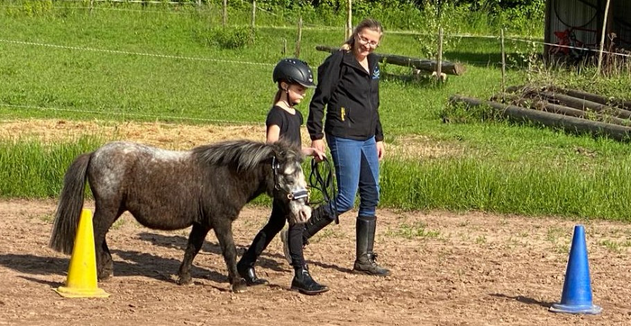 Reitunterricht Konz, Reitunterricht Trier, Reitunterricht Saarburg, Reiten Konz, Reiten Trier, Reiten Saarburg