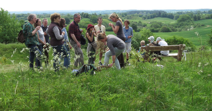 Kräuterwanderung im Nienthal