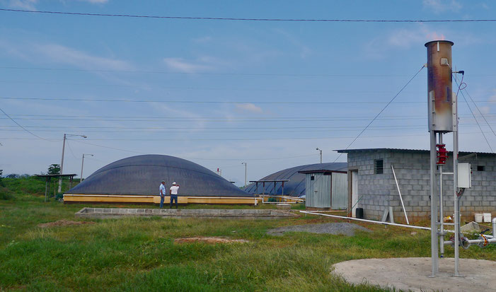 Biogas flare - natural gas flare - LPG flare - Aqualimpia - antorcha biogás - flares biogas 