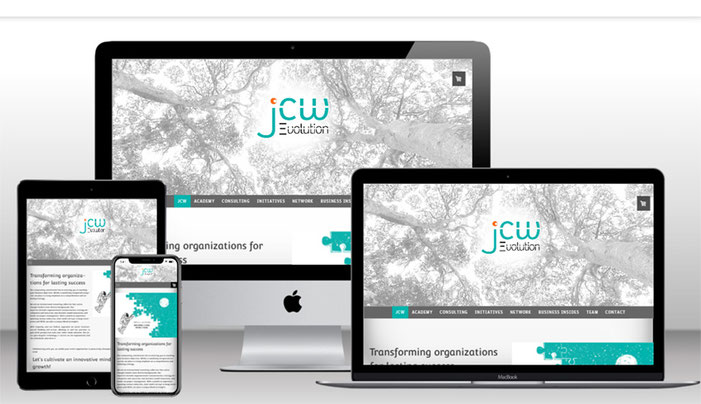Webdesign für Netzwerke - Hier Website für jcw-evolution 