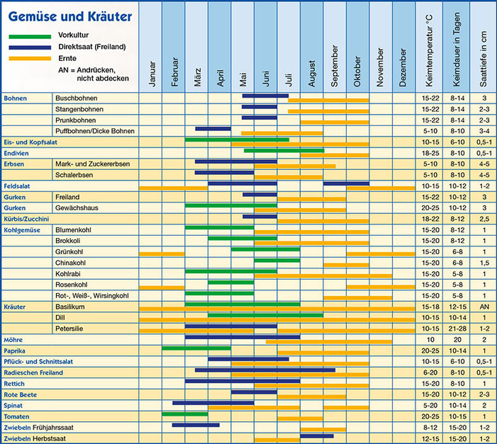 Aussaat-Tipps - KgV Luthenburg e,V. Gelsenkirchen