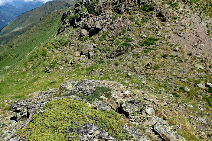 Le col d'Audas.