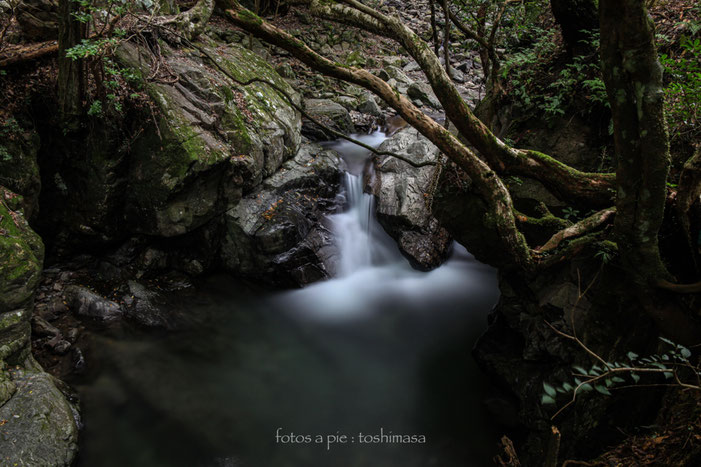 CanonEOS5Dmk2 CanonEF24-70mmF4L iso100 31mm f10 500" B NISI-ND1000 photo : toshimasa