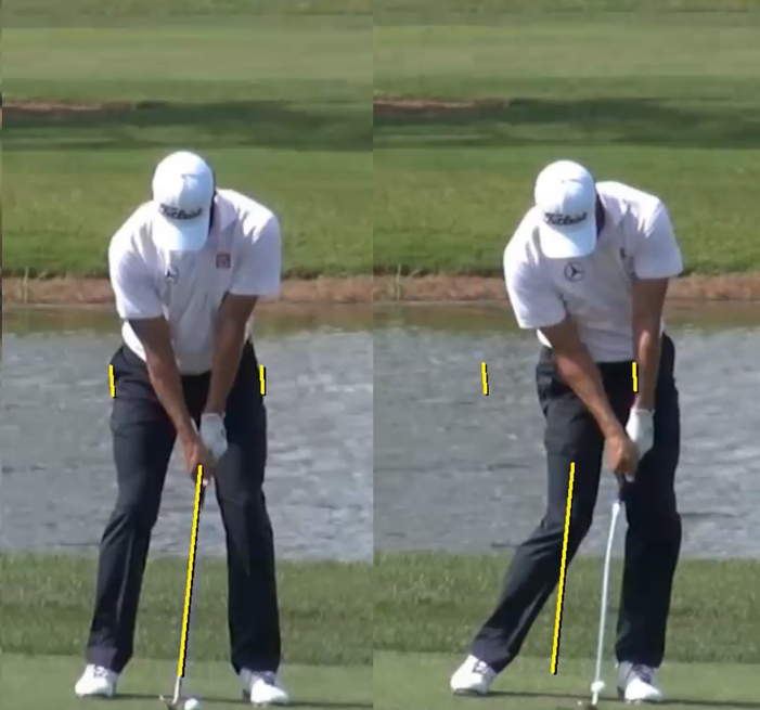 Pro Golfer Example Swing