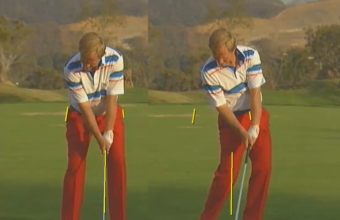 Examples of Pro Golfer Swings