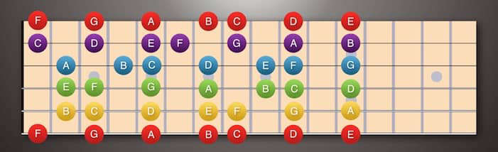 Learn the Fretboard in 7 Steps