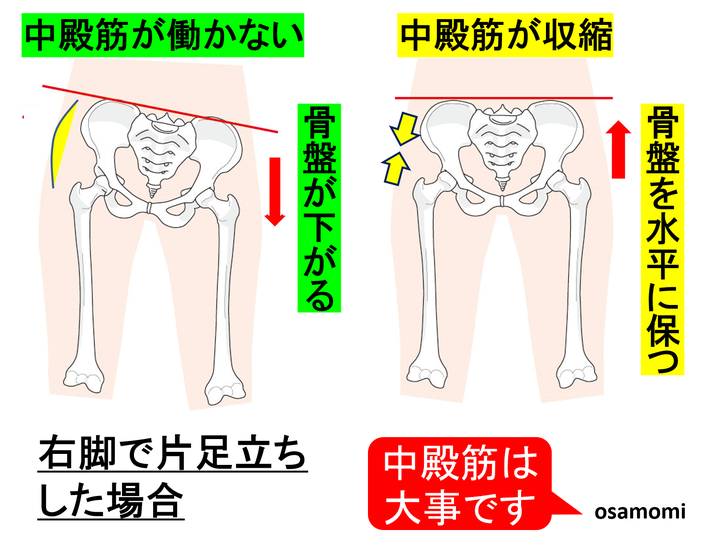 中殿筋を鍛えよう!昭島市でウォーキング教室をお探しなら、競歩技術を取り入れたオサモミウォーキング教室昭島。