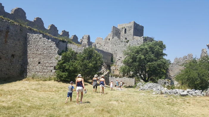 Château de Puilaurens