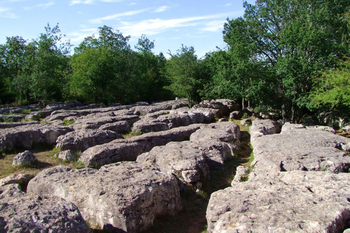 Domaine de l'Abbé Saunière