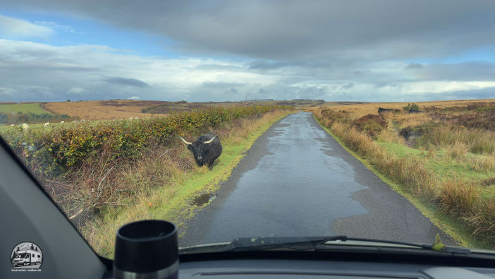 Südengland mit dem Wohnmobil