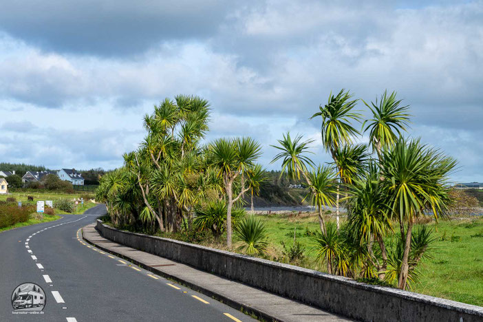 Irland mit dem Wohnmobil
