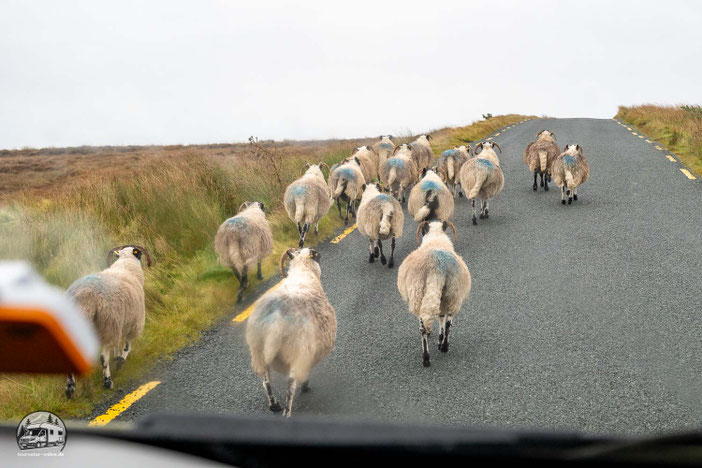 Irland mit dem Wohnmobil