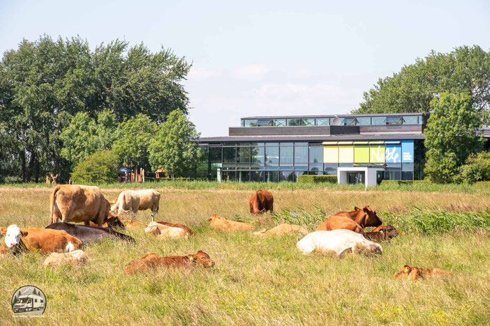Schleswig Holstein mit dem Wohnmobil