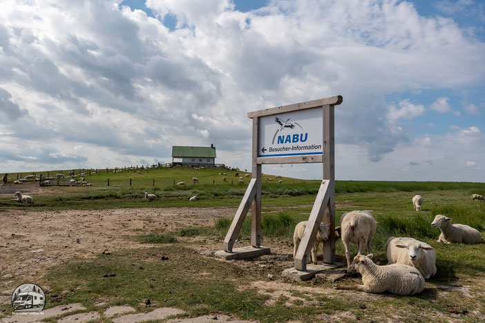 Schleswig Holsteins Nordseeküste mit dem Wohnmobil