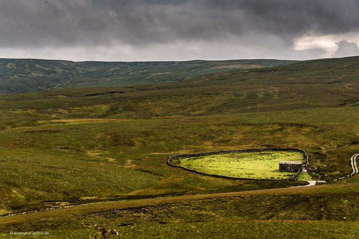 Mit dem Wohnmobil in Schottland