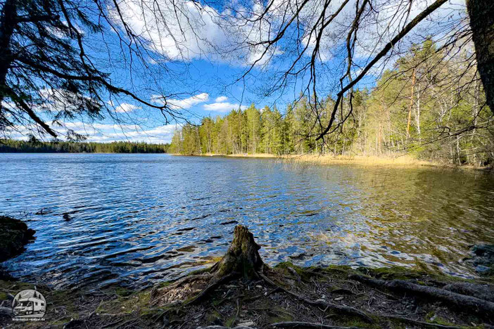 See im Nuuksio‑Nationalpark