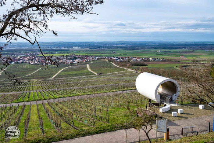 der Punkt „Silvaner“ des Projekts terroir F