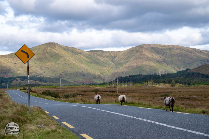 Irland mit dem Wohnmobil