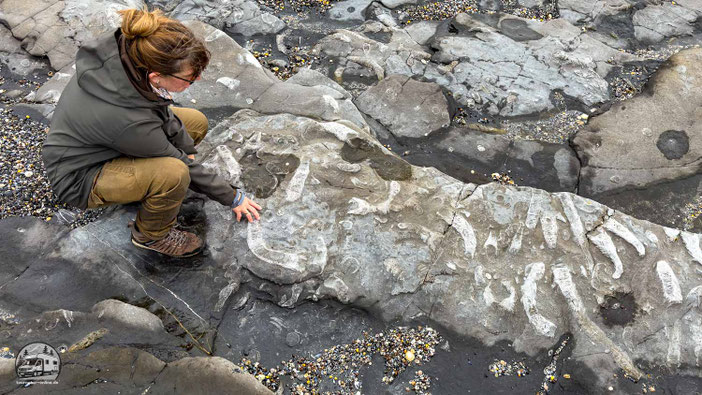 Irland mit dem Wohnmobil