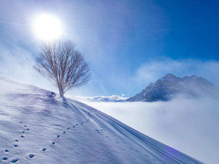 Winterlandschaft in den Glarner Alpen bei der Schneeschuhtour auf den Schilt