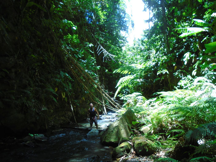 nypa style resort, camiguin, filippine, isola, pernottamento, bungalows, vacanze, natura, giardino, foresta, piscina, massaggi, trekking, fiume, avventura, giungla