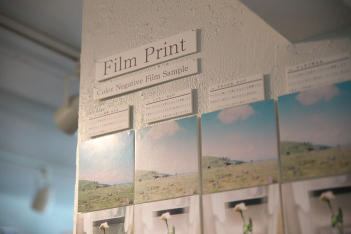 店内の壁にFilmPrintの表示。その下に幾つものパターンでPrintされた見本。