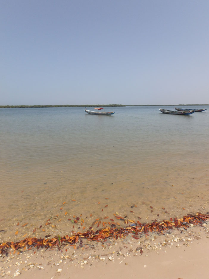 Mar Lodj, Sine-Saloum delta