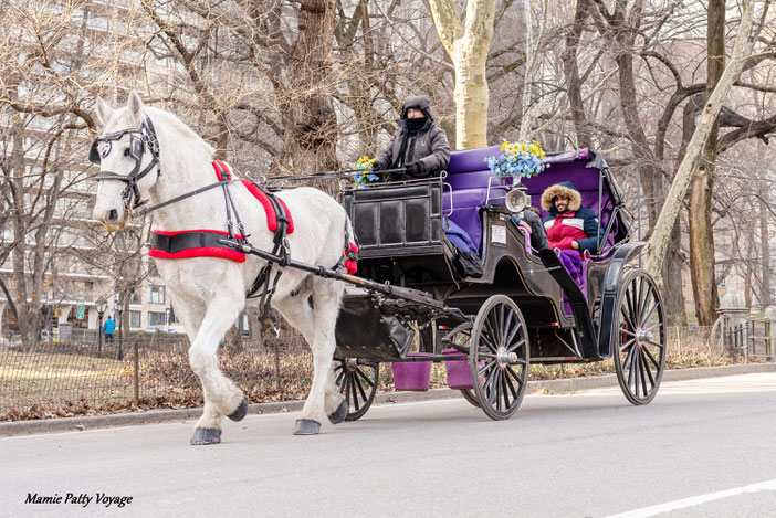 Balade en calèche, Central Park, New York