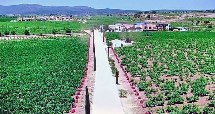 La ruta del vino Utiel-Requena es un maravilloso  viaje enológico que te introducirá  en la rica tradición vitivinícola de esta tierra.
