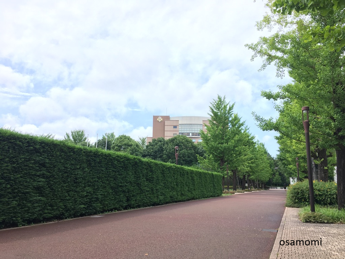 昭島市でウォーキング教室をお探しなら、競歩技術を取り入れたオサモミウォーキング教室昭島。