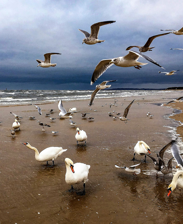 Siegfried Herrmann: Strandleben