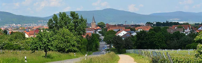 Kirrweiler bietet schöne Ausblicke auf den Haardt-Rand des Pfälzerwaldes.