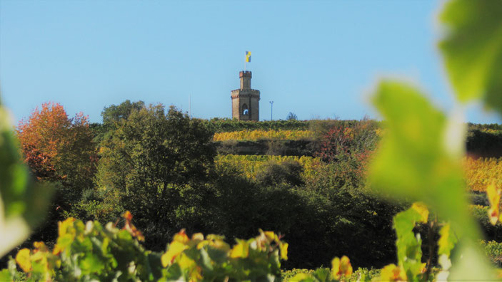 Toller Aussichtspunkt und beliebtes Wanderziel: Das "Kaffeemühlchen", in mitten des Rebenmeers auf einer Kuppe des "Fuchsmantels" erhaben über der Stadt gelegen. Fotos: Klaus Kochendörfer