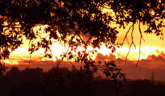 Coucher de soleil / Sunset / Photo de crystal Jones