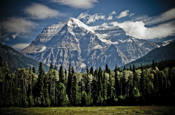 Hohe, verschneite Berge ragen hinter einem Wald auf. Image by Keith Johnston from Pixabay.