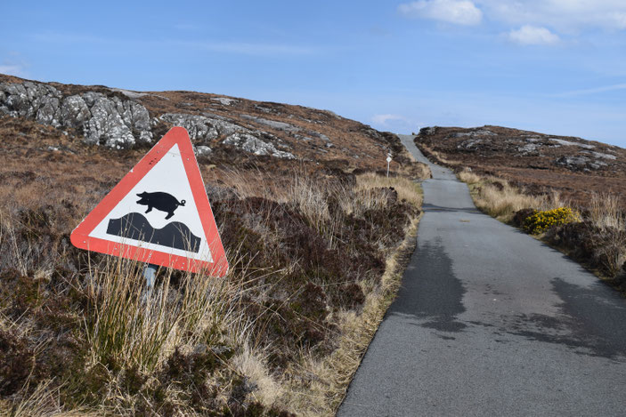 single track road, north of Raasay