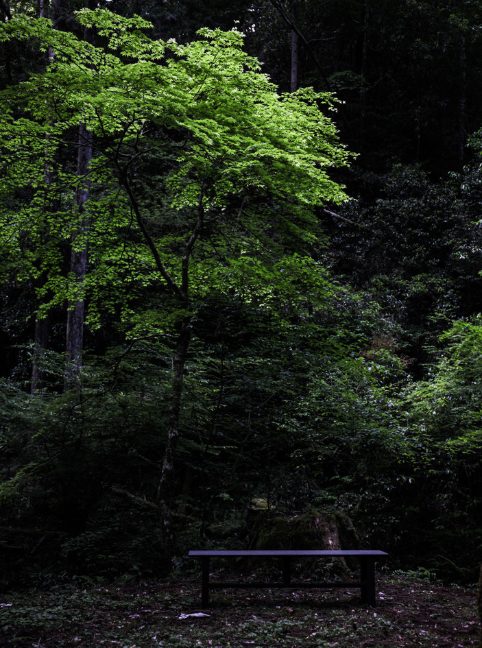 阿寺の七滝 CanonEOS5Dmk2 EF24-70F4L photo:toshimasa
